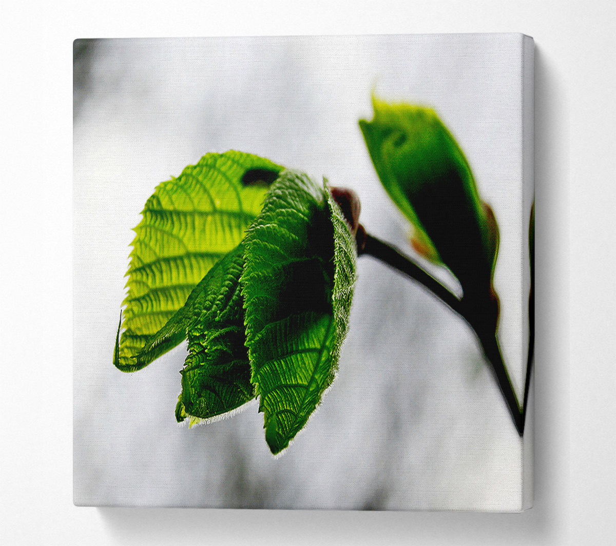 The Winter Leaves Canvas Wall Art