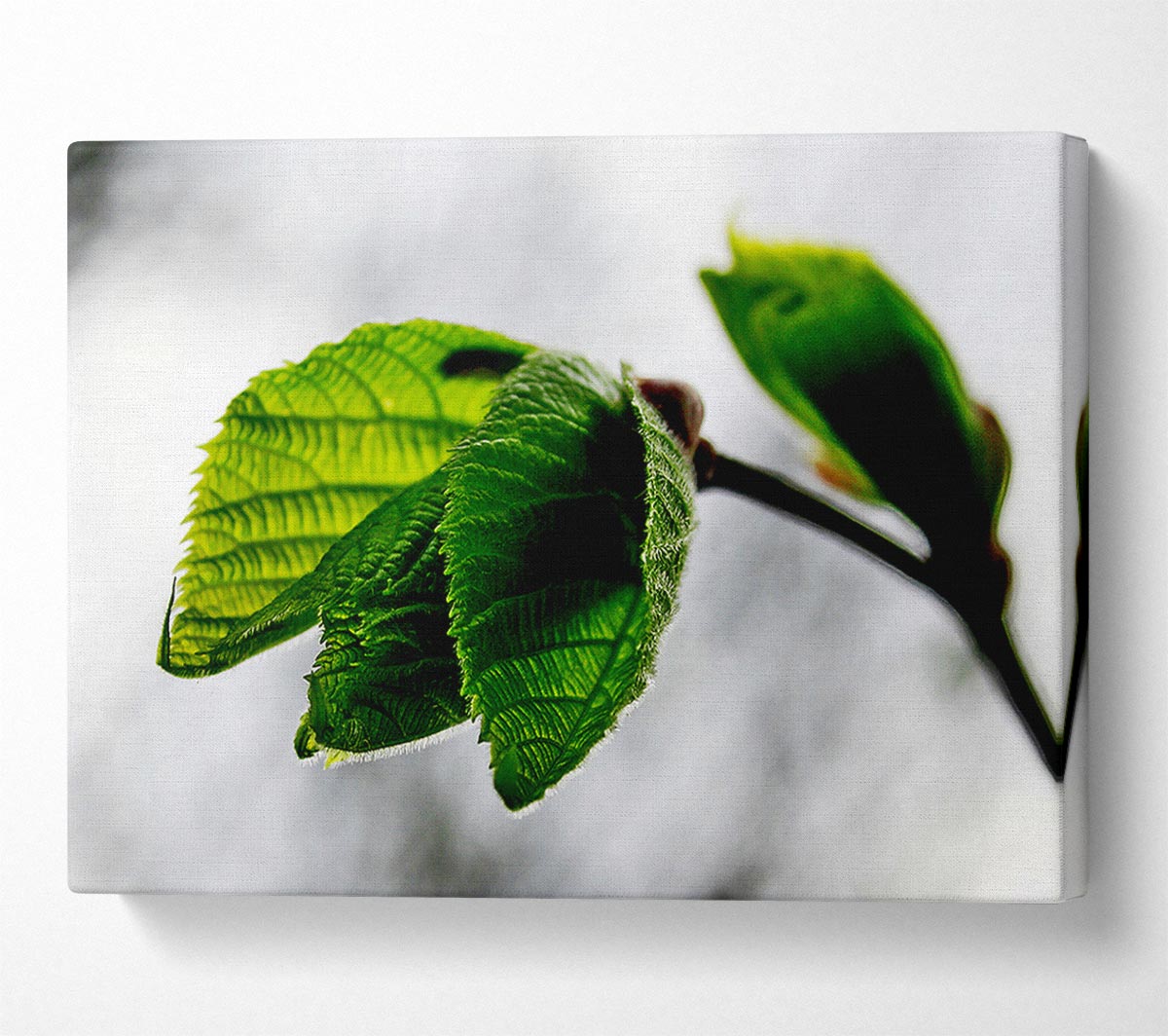 The Winter Leaves Canvas Wall Art