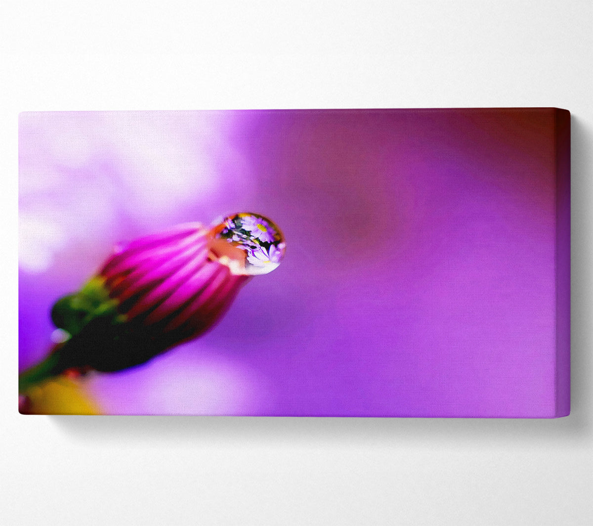 Purple Water Drop Reflection Canvas Wall Art