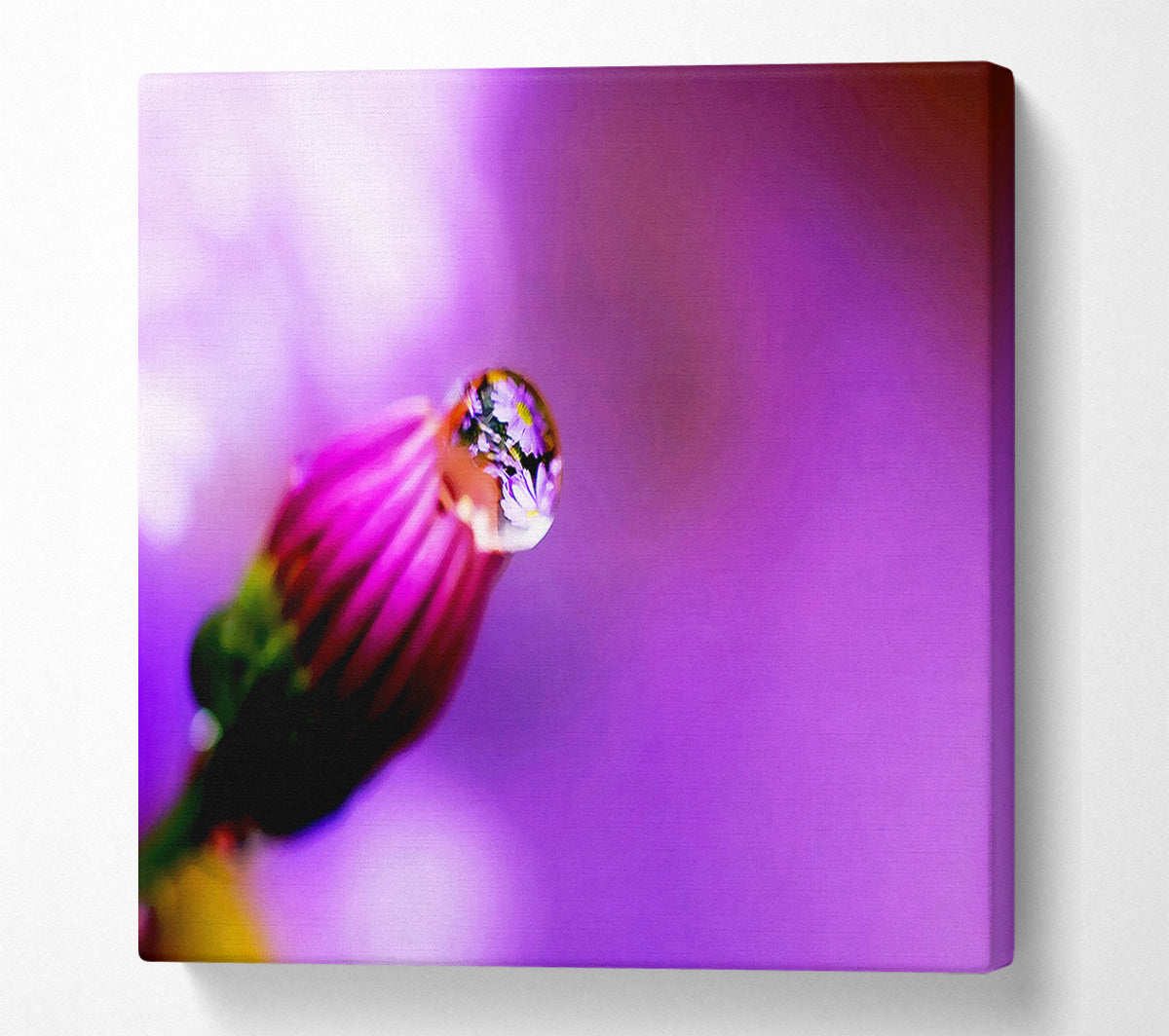 Purple Water Drop Reflection Canvas Wall Art