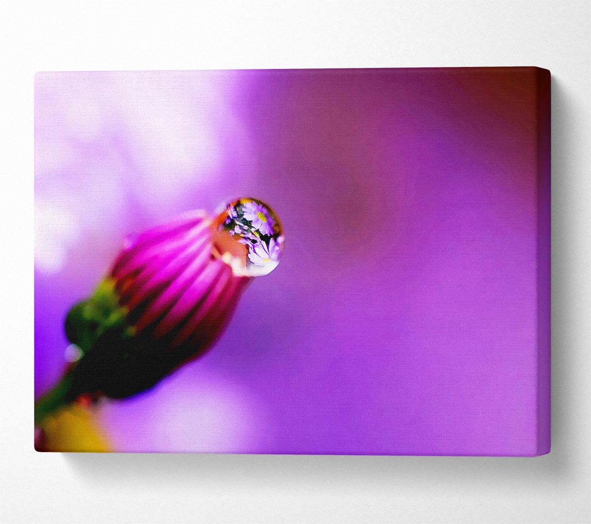 Purple Water Drop Reflection Canvas Wall Art