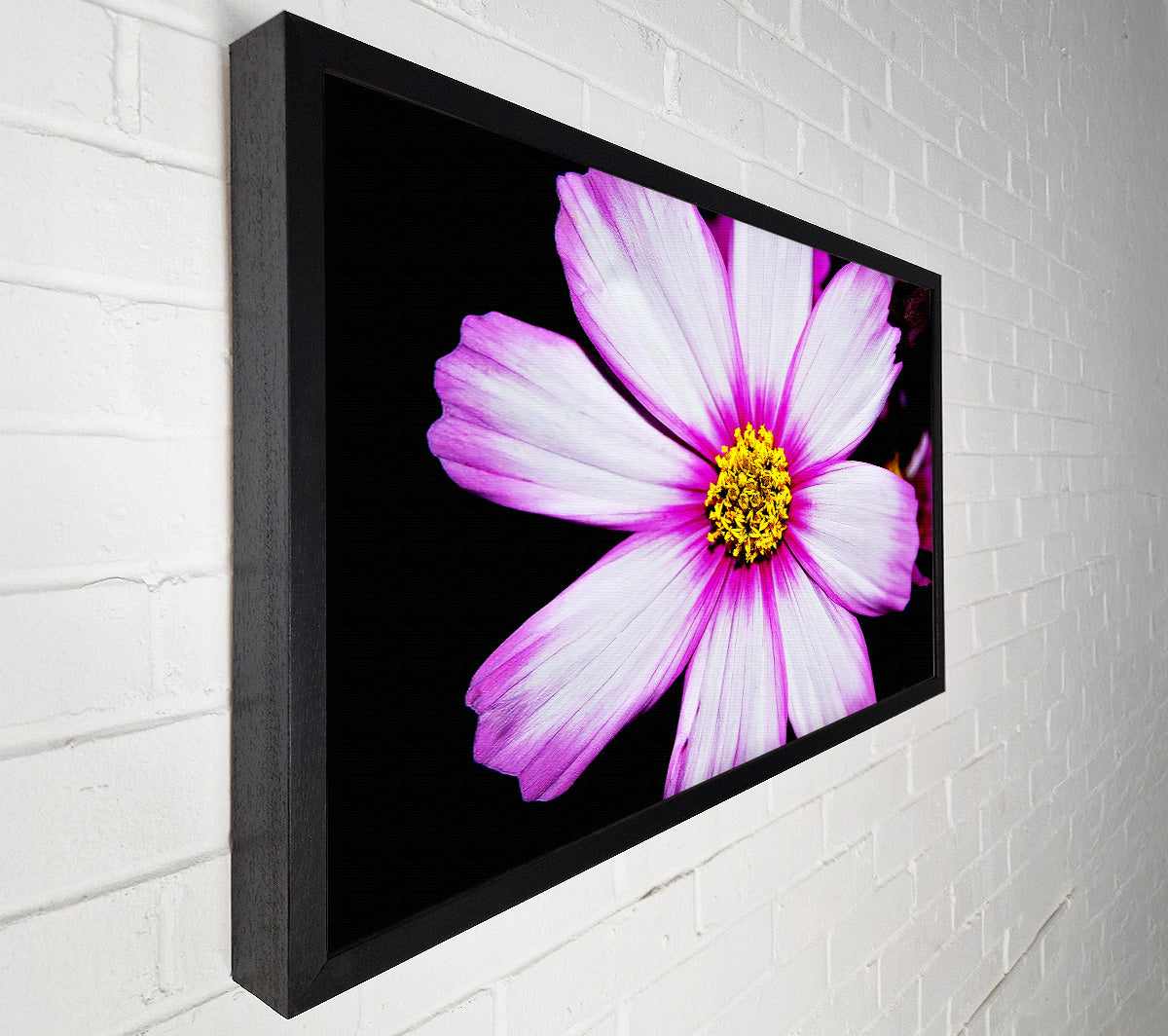 Pink Petal Stunner Canvas Wall Art