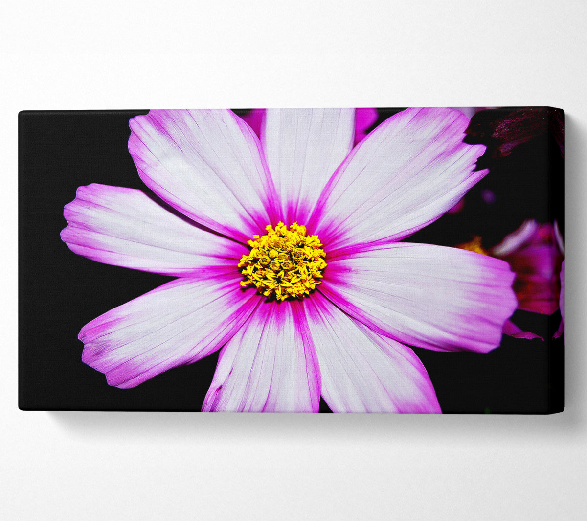 Pink Petal Stunner Canvas Wall Art
