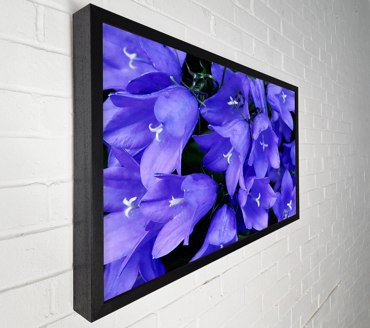 Purple Bluebells Canvas Wall Art