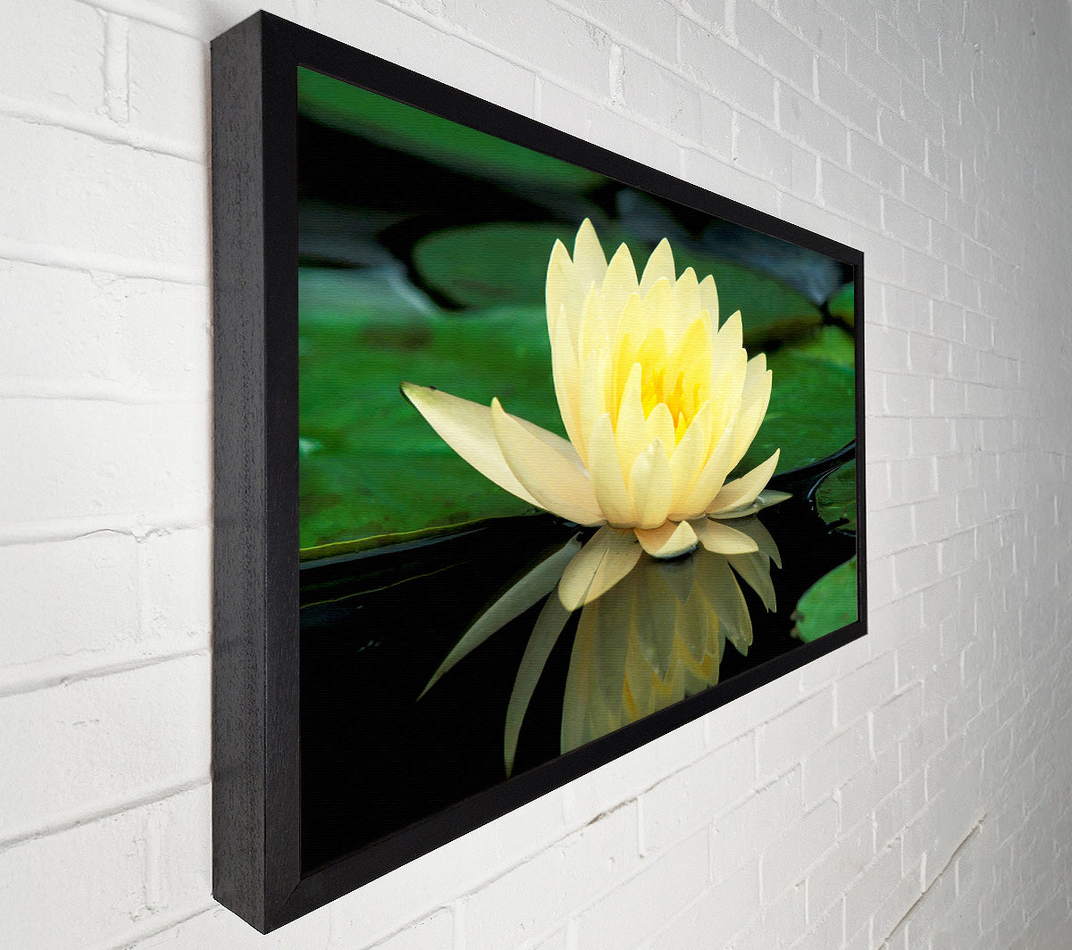 Yellow Water Lily Reflection Canvas Wall Art