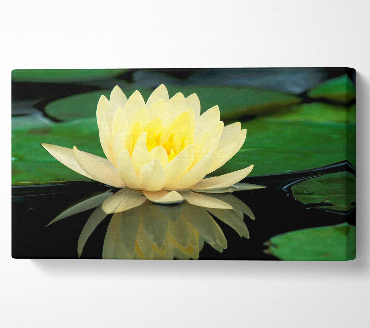 Yellow Water Lily Reflection Canvas Wall Art
