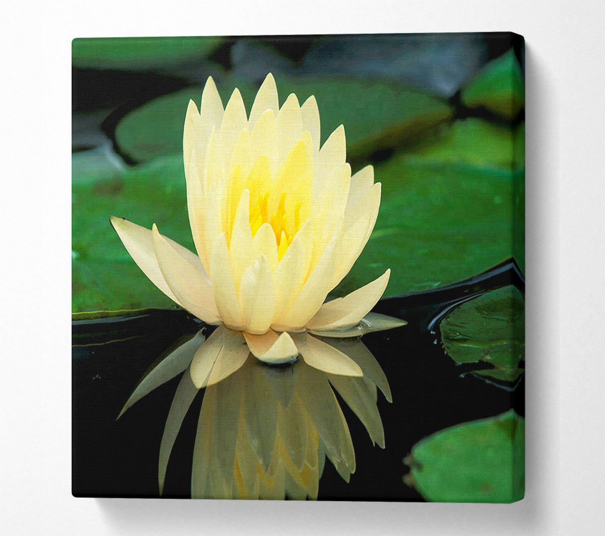 Yellow Water Lily Reflection Canvas Wall Art