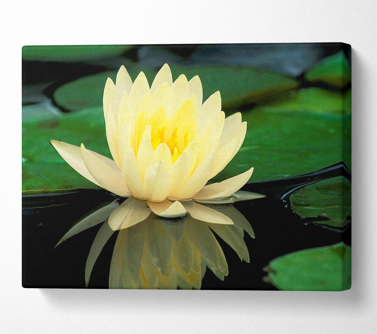 Yellow Water Lily Reflection Canvas Wall Art