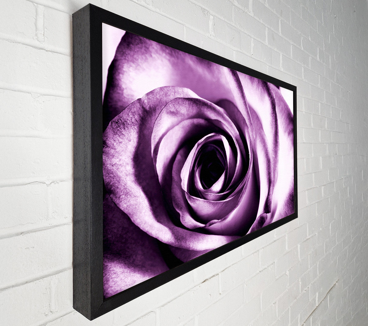 Purple Rose Delight Canvas Wall Art
