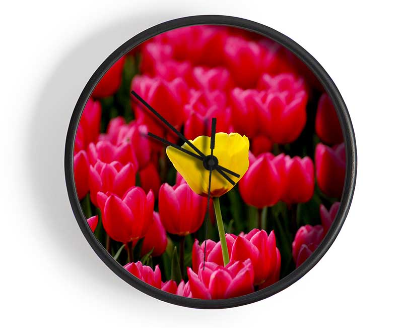 Tulips Strenth