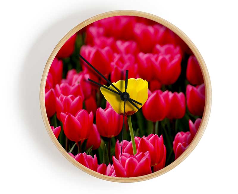 Tulips Strenth