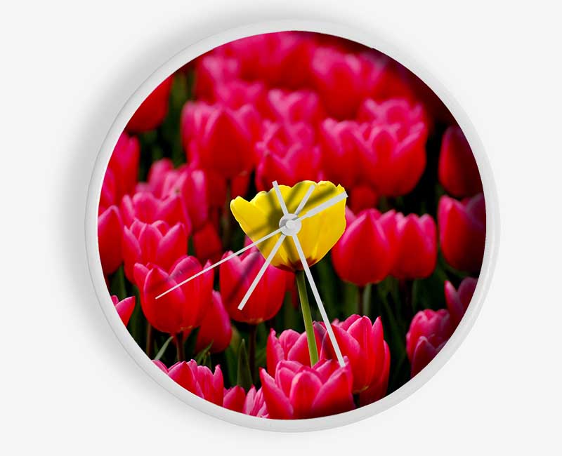 Tulips Strenth