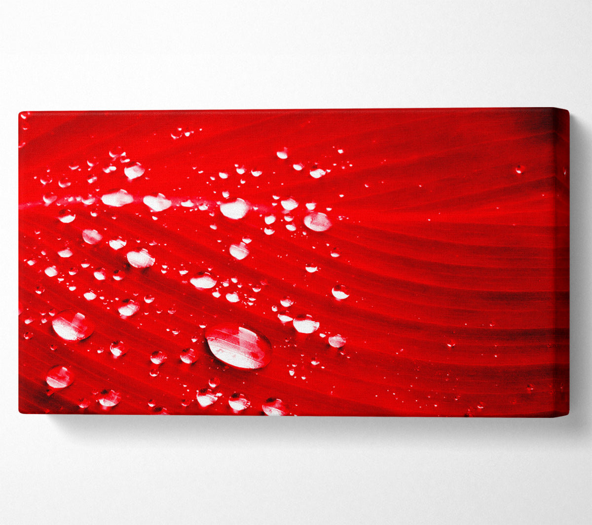 Red Water Droplets Canvas Wall Art