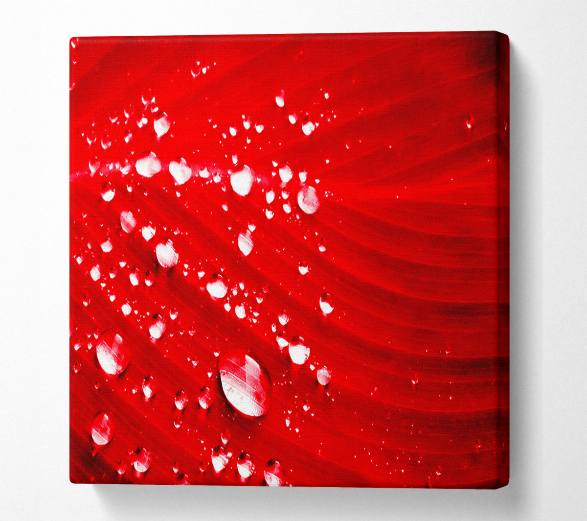 Red Water Droplets Canvas Wall Art
