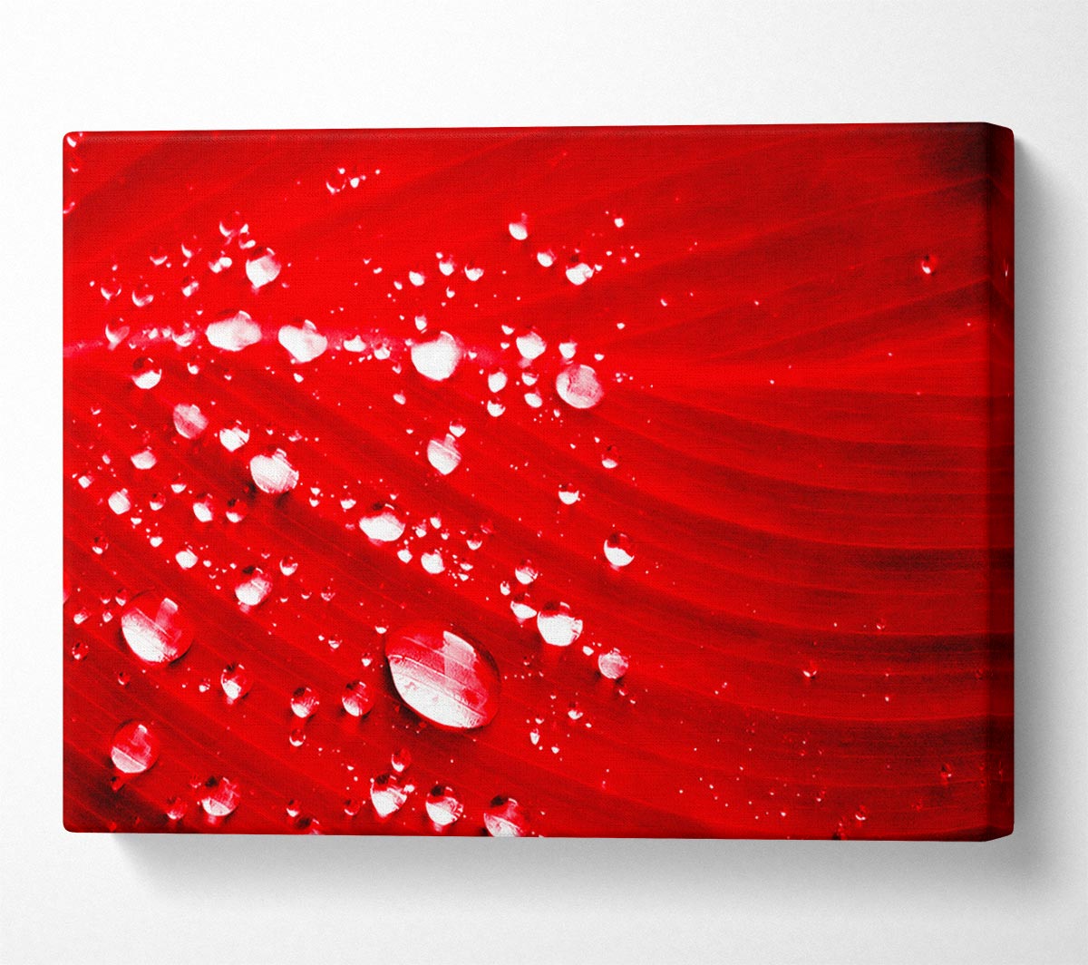 Red Water Droplets Canvas Wall Art