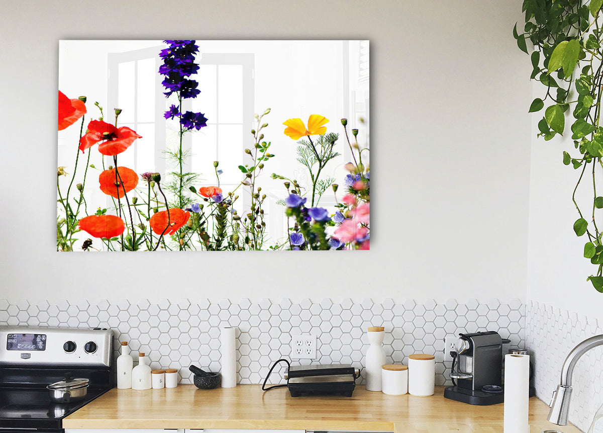 Wild Flower Garden