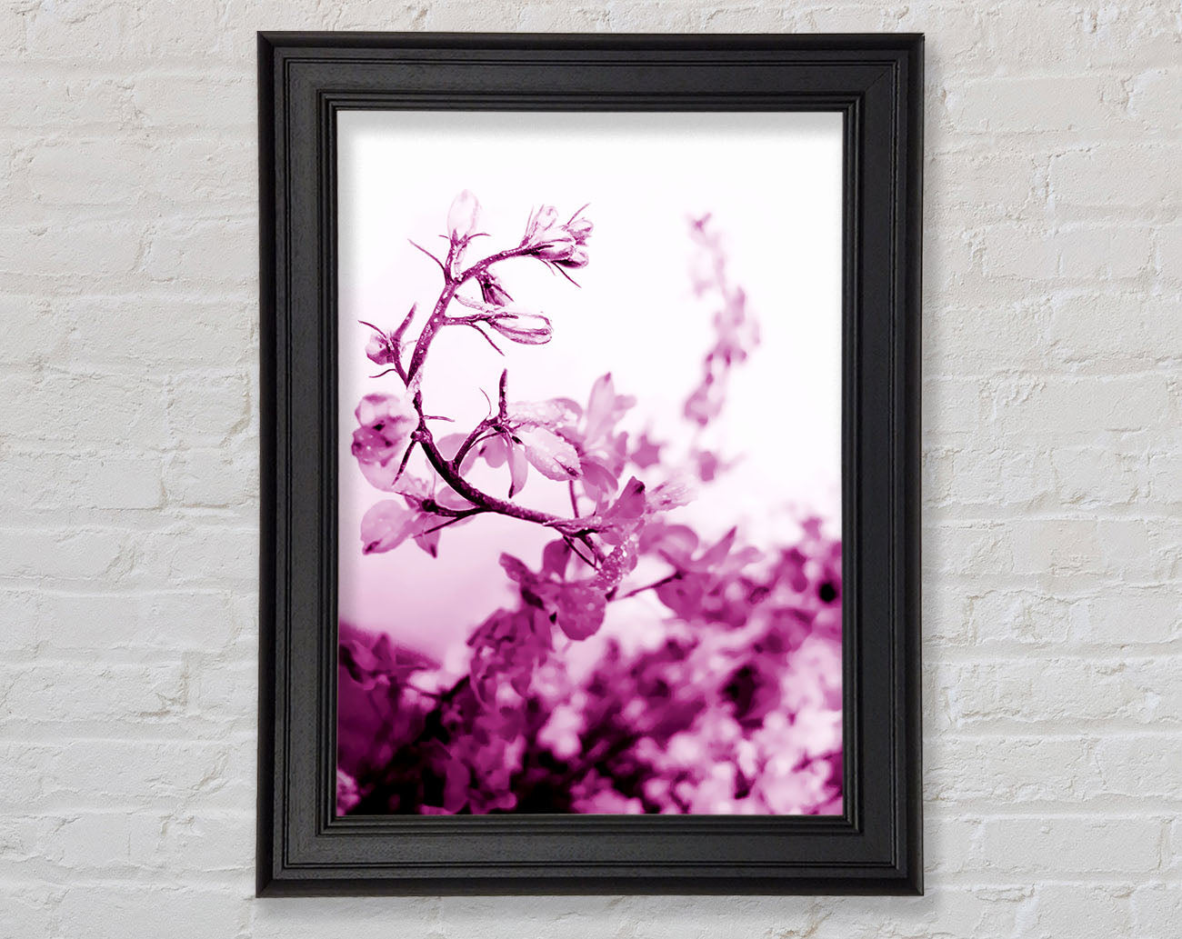 Cherry Blossom Framed Print