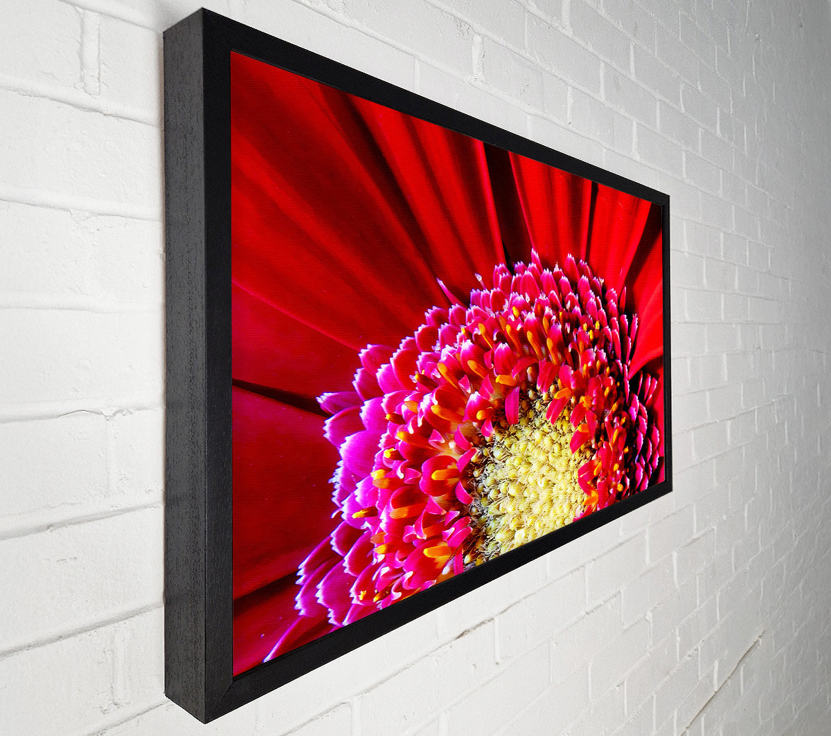 Red Gerbera Face Close-Up Canvas Wall Art