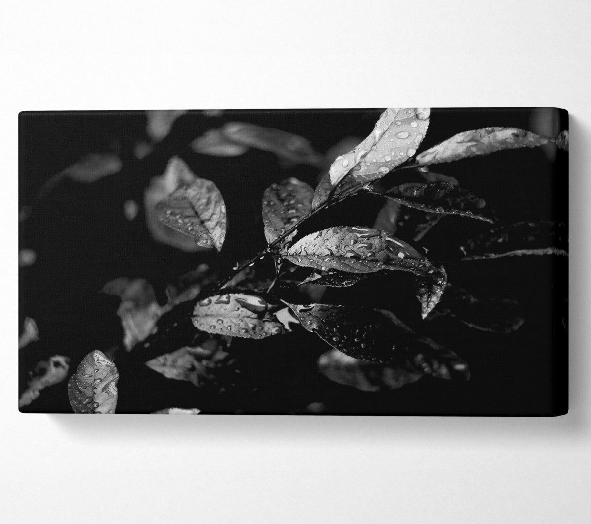 Winter Leaves B n W Canvas Wall Art