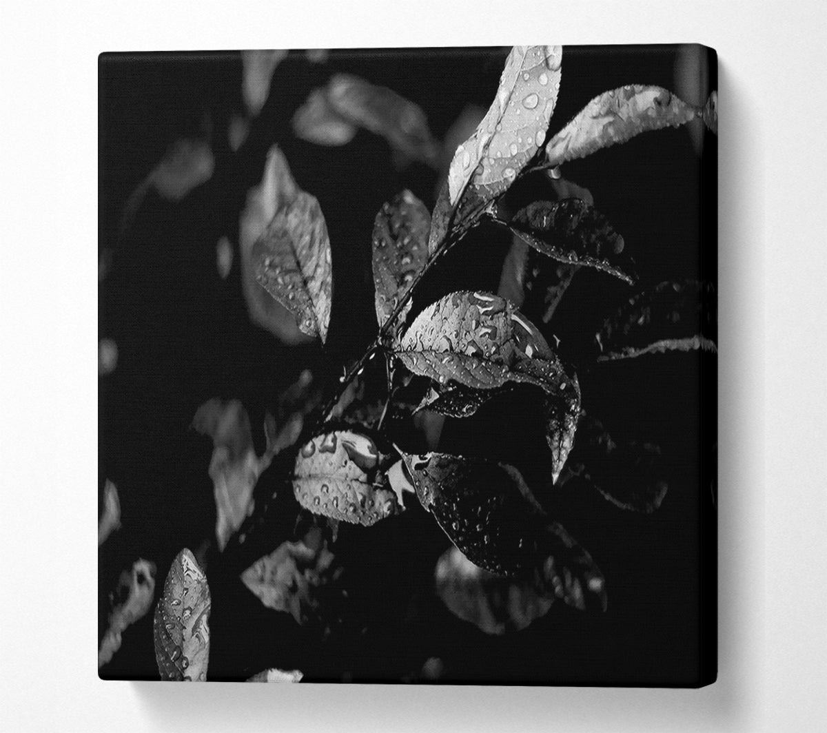 Winter Leaves B n W Canvas Wall Art