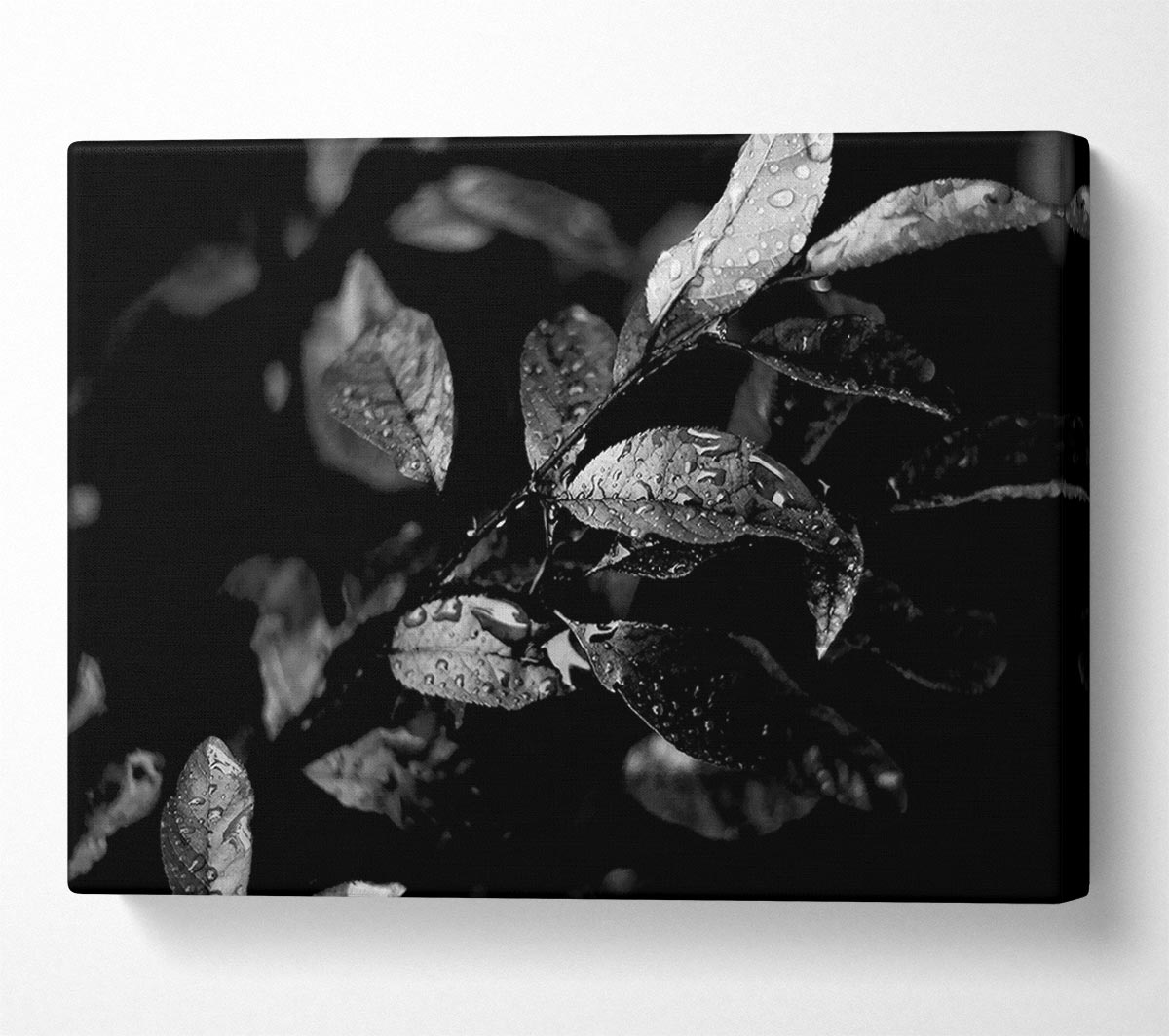 Winter Leaves B n W Canvas Wall Art