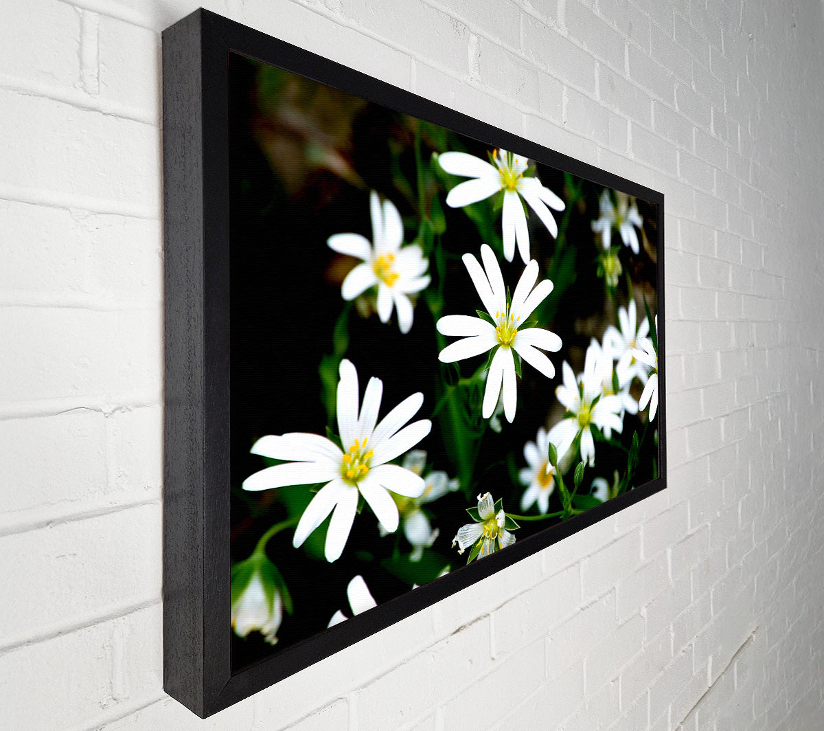 White Garden Daisies Canvas Print