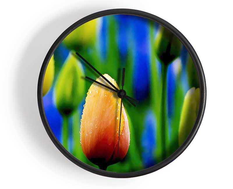 Yellow Tulips In A Blue Field