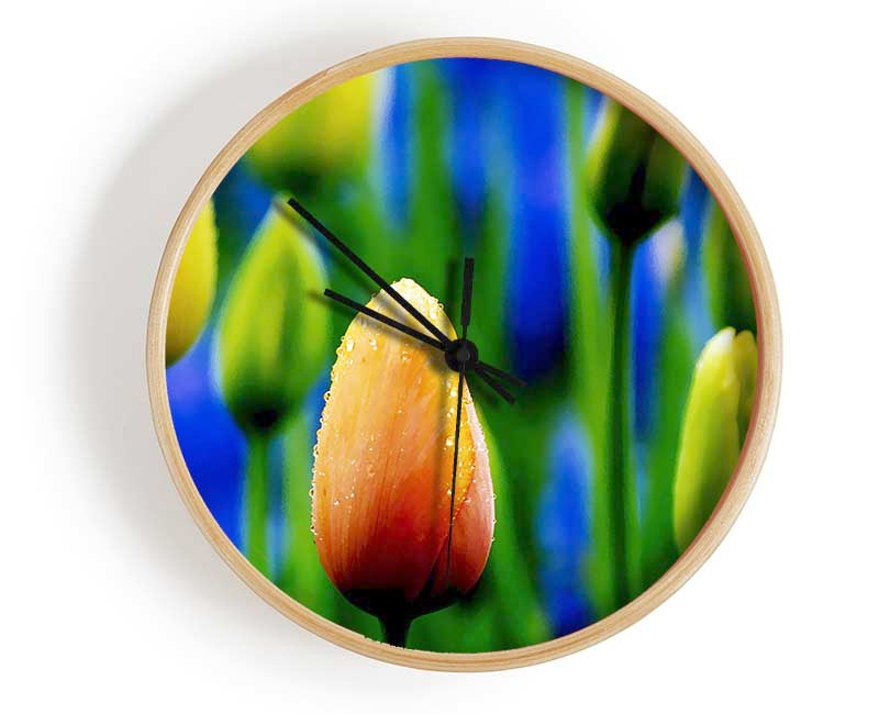 Yellow Tulips In A Blue Field