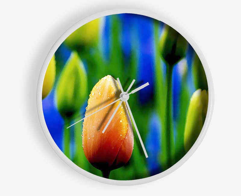 Yellow Tulips In A Blue Field