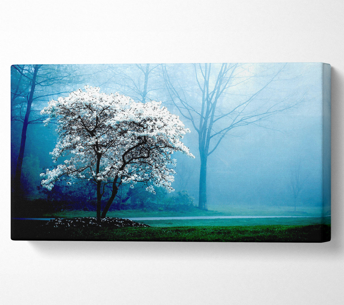 White Magnolia Tree Canvas Wall Art