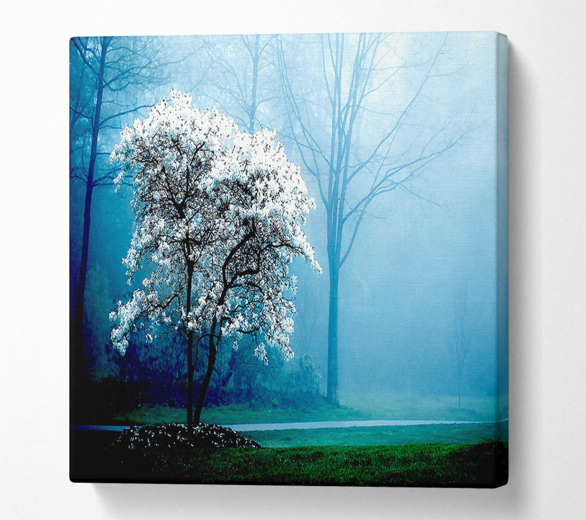 White Magnolia Tree Canvas Wall Art