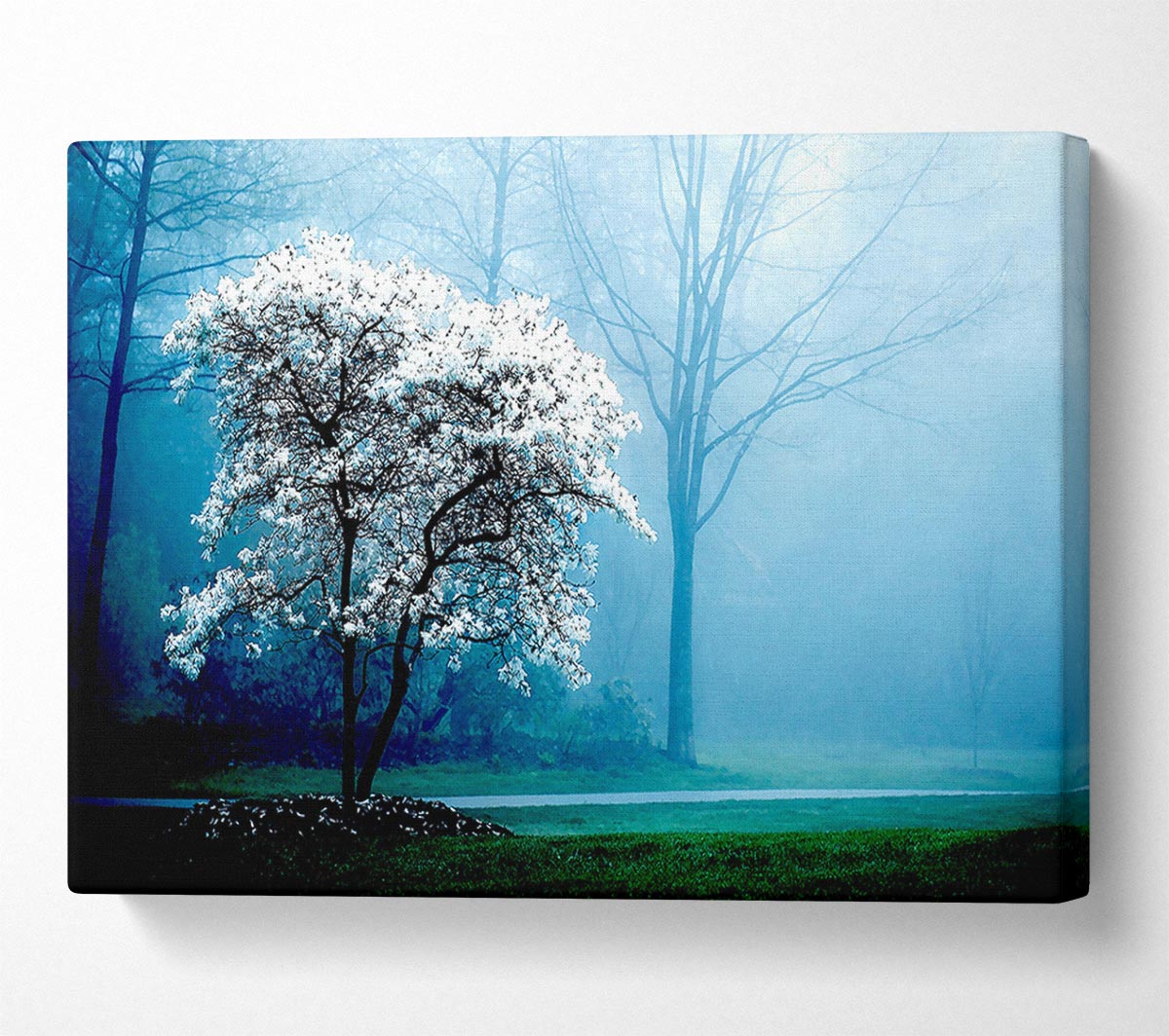 White Magnolia Tree Canvas Wall Art
