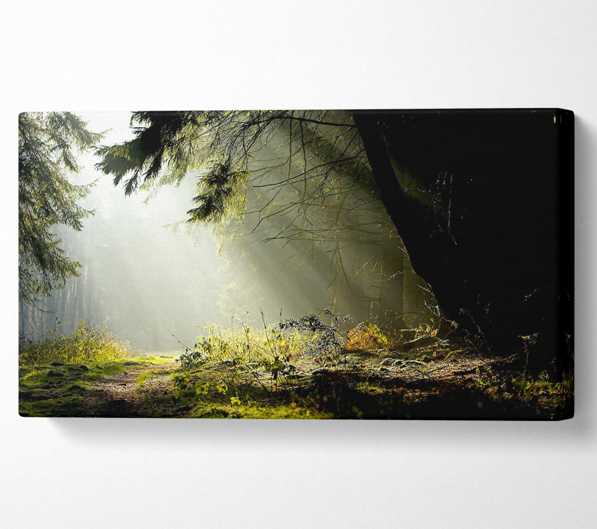 Sun Beam Through The Pass Canvas Wall Art