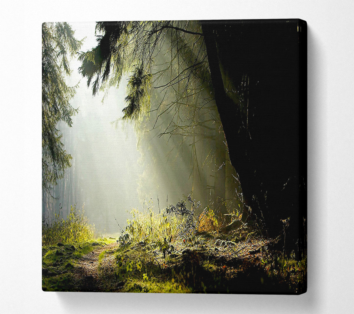 Sun Beam Through The Pass Canvas Wall Art
