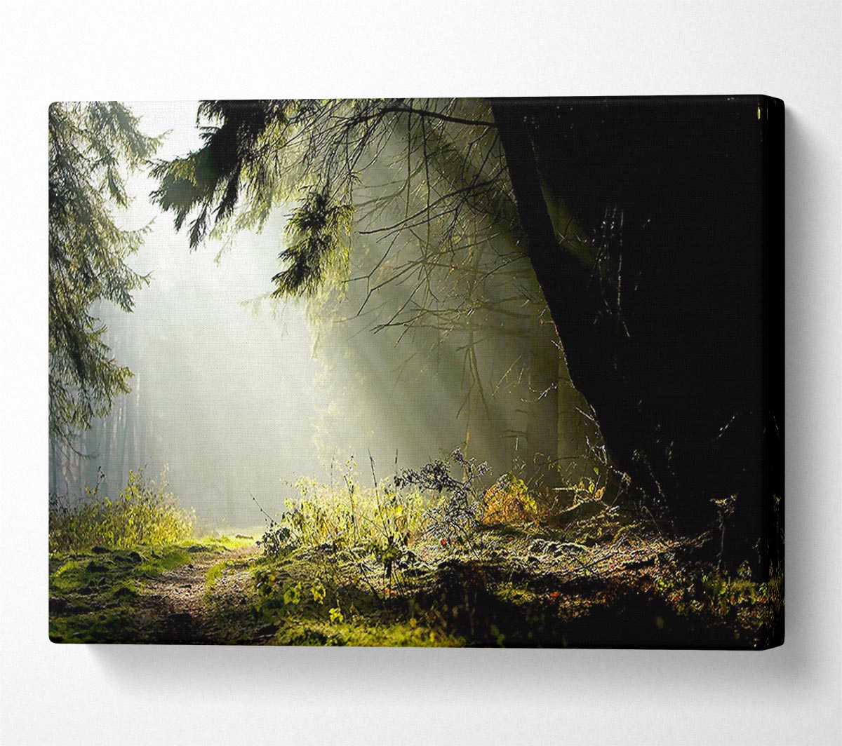 Sun Beam Through The Pass Canvas Wall Art