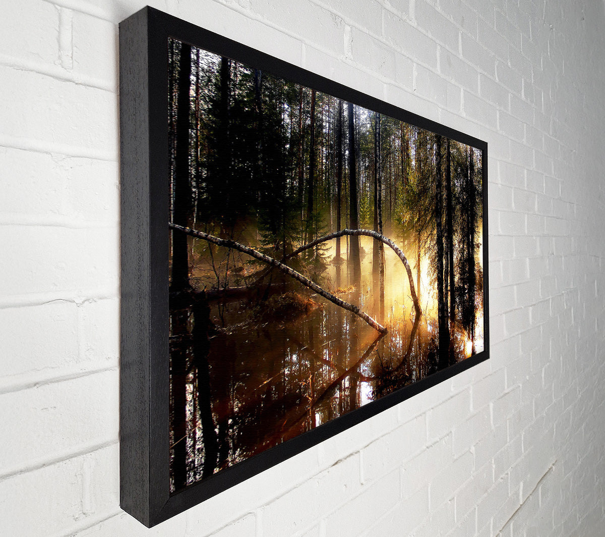 Swamp Forest Morning Mist Canvas Wall Art