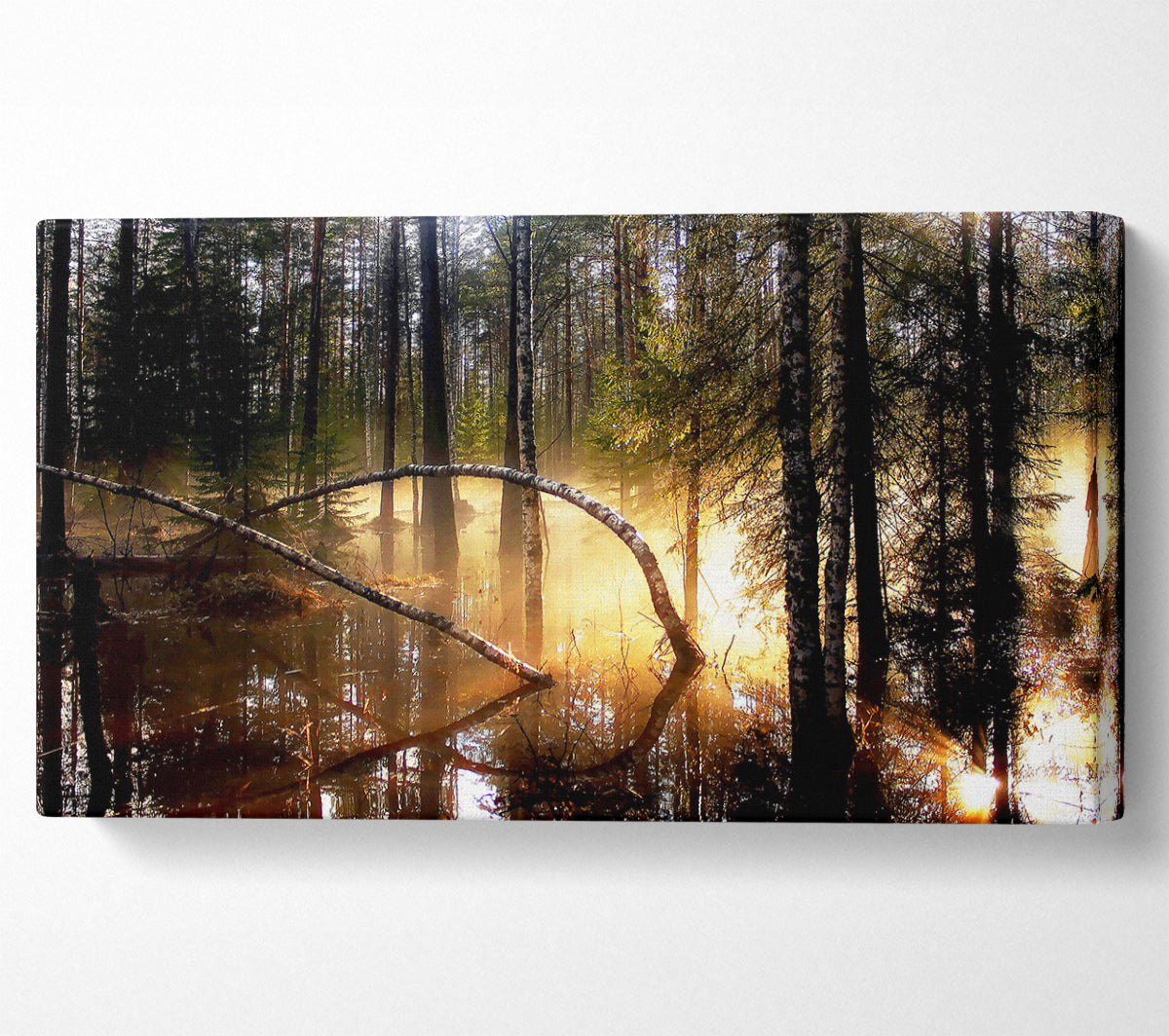 Swamp Forest Morning Mist Canvas Wall Art