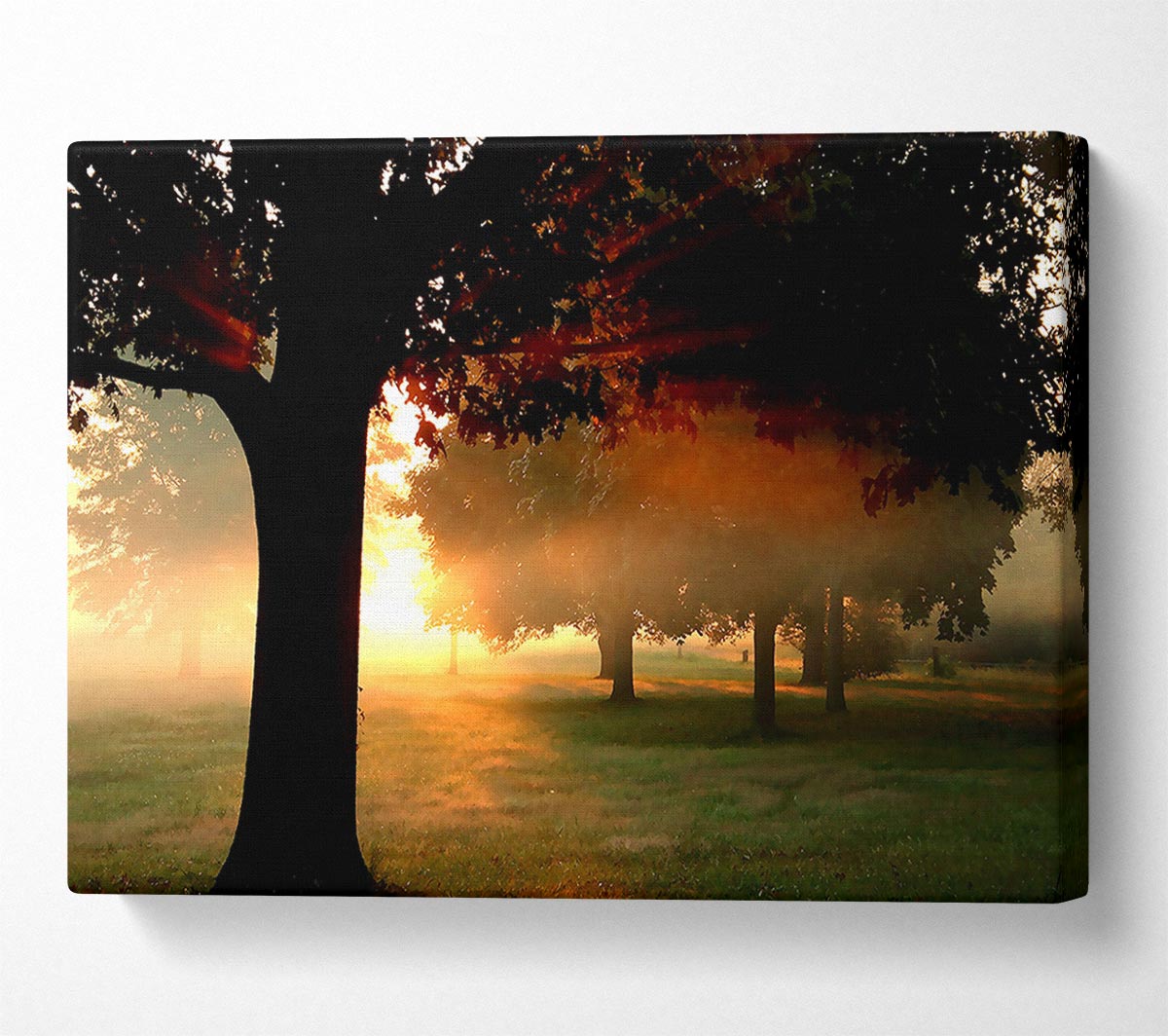 A New Day Canvas Wall Art