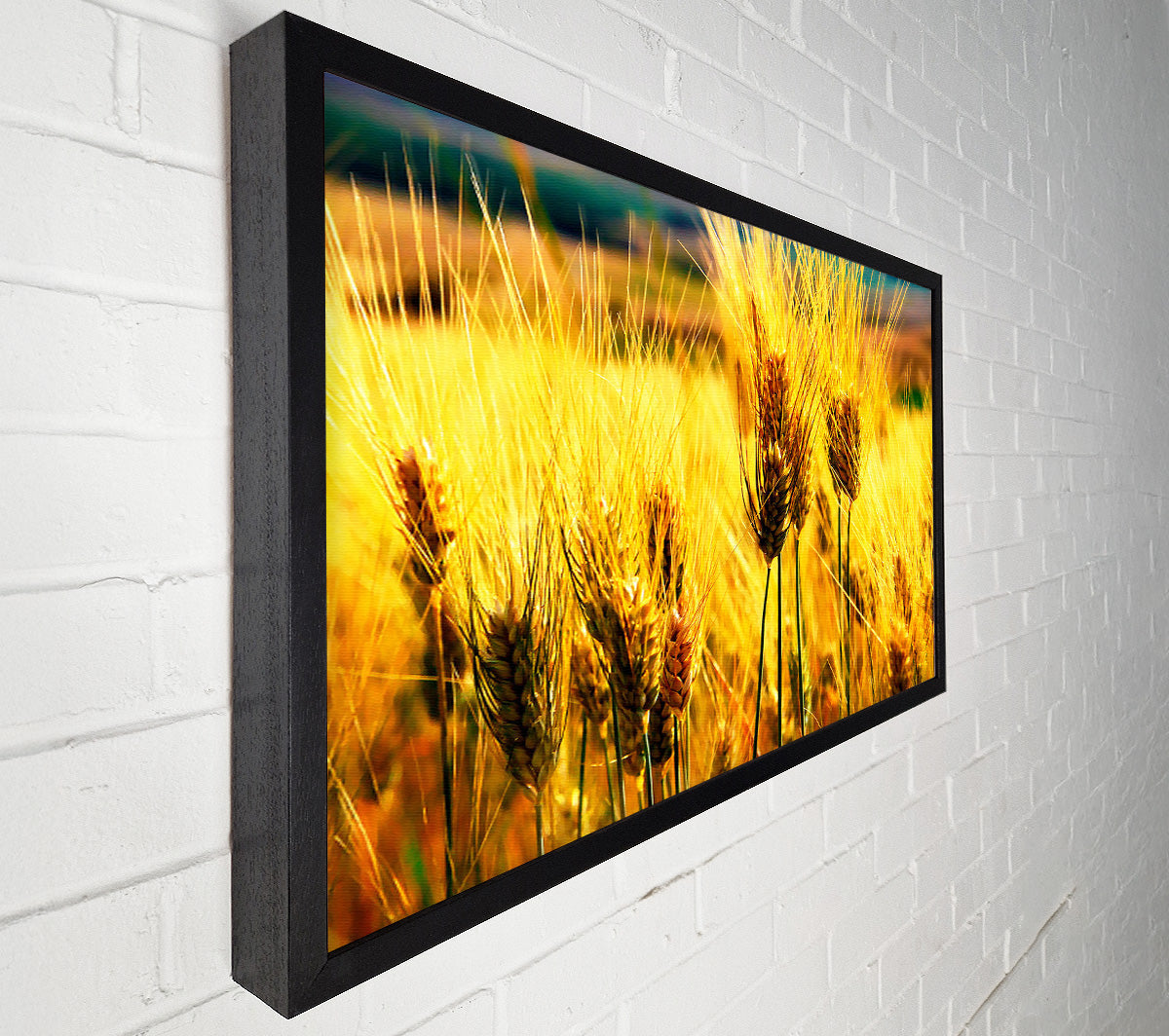 Wheat Field Near The Forest Canvas Wall Art