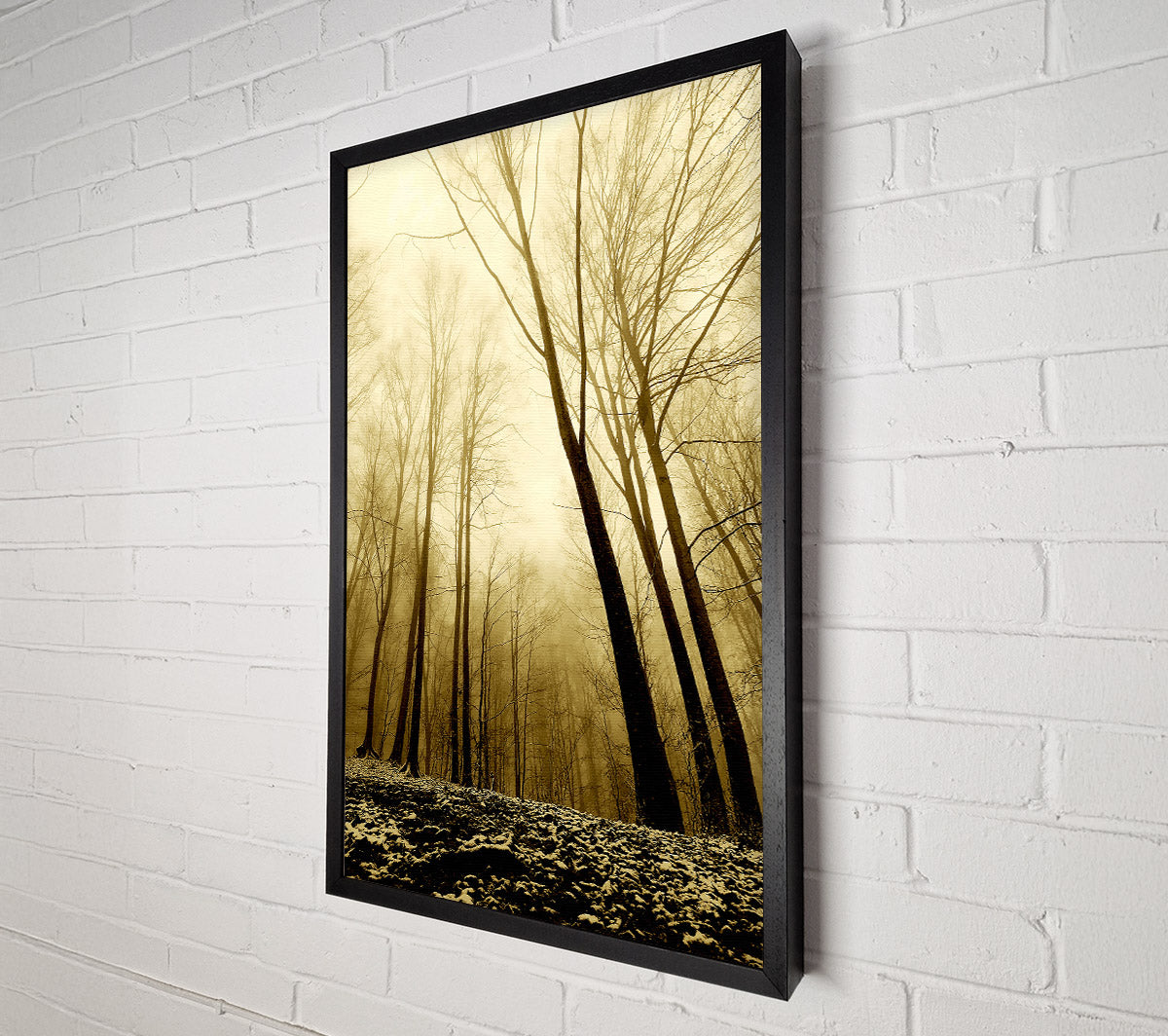 In The Depth Of The Forest Canvas Art