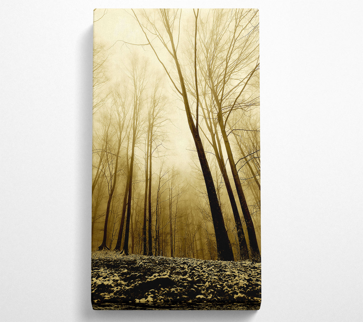 In The Depth Of The Forest Canvas Art