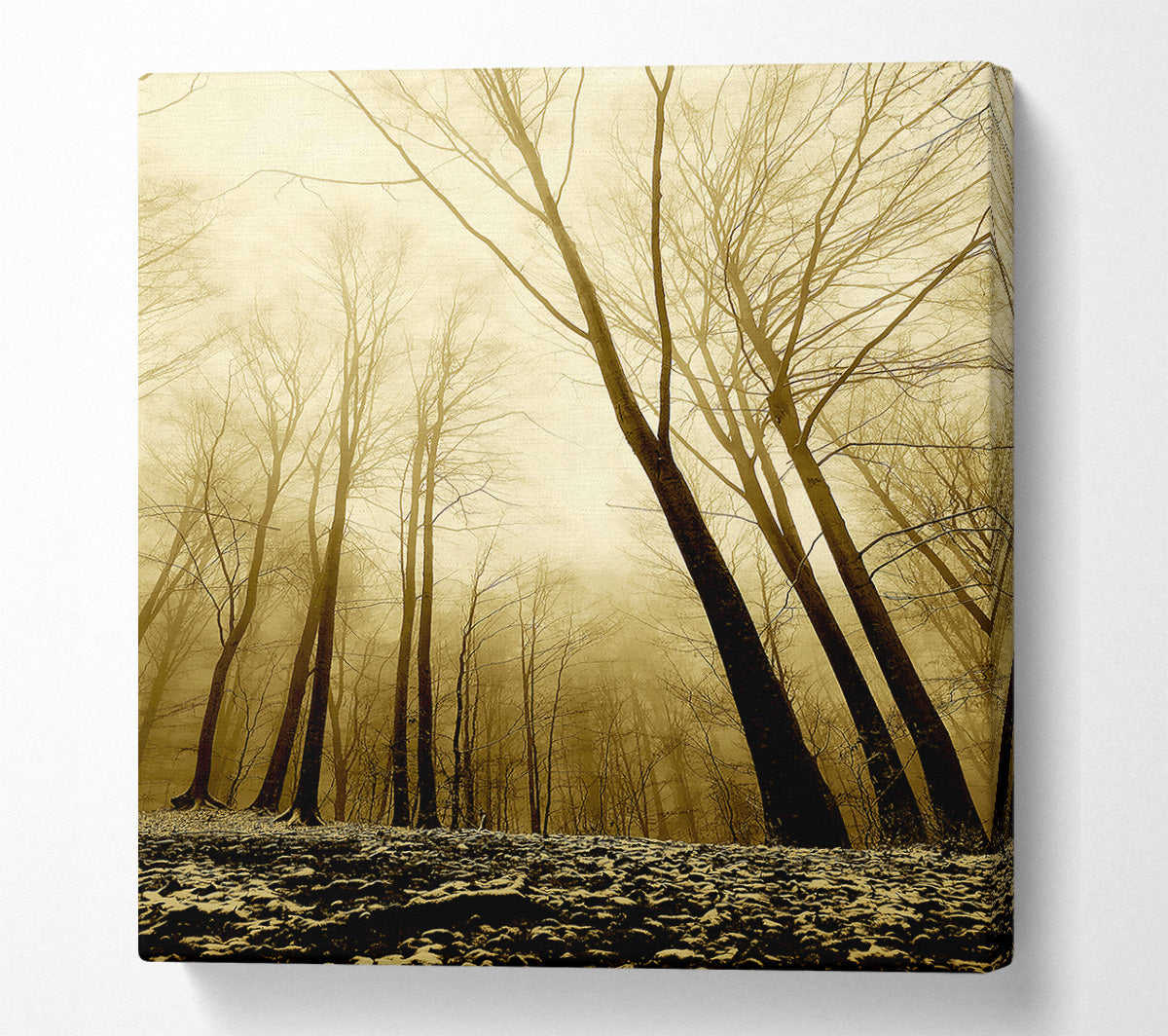 In The Depth Of The Forest Canvas Art