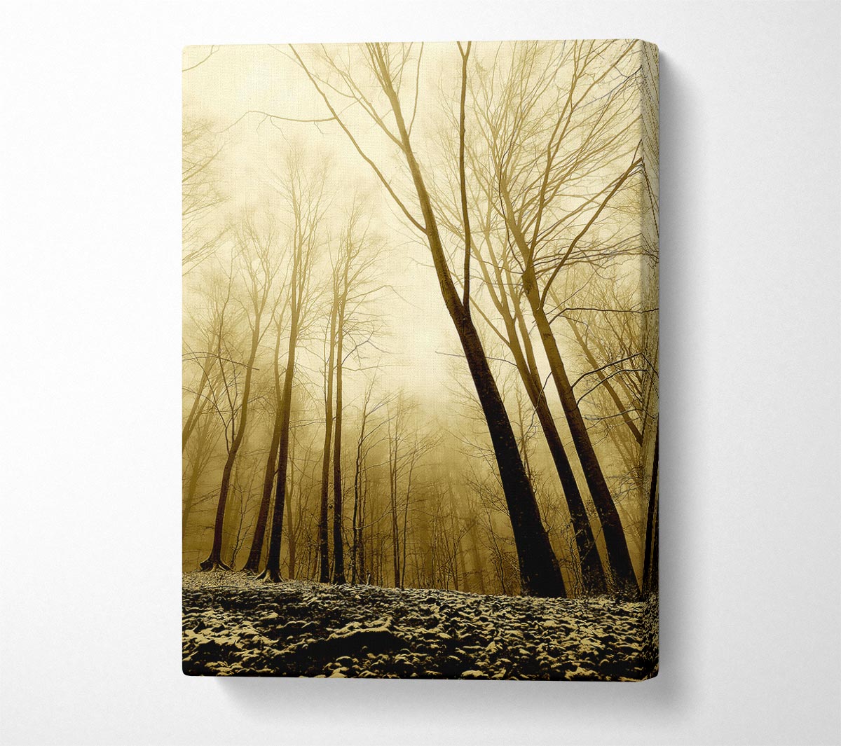 In The Depth Of The Forest Canvas Art