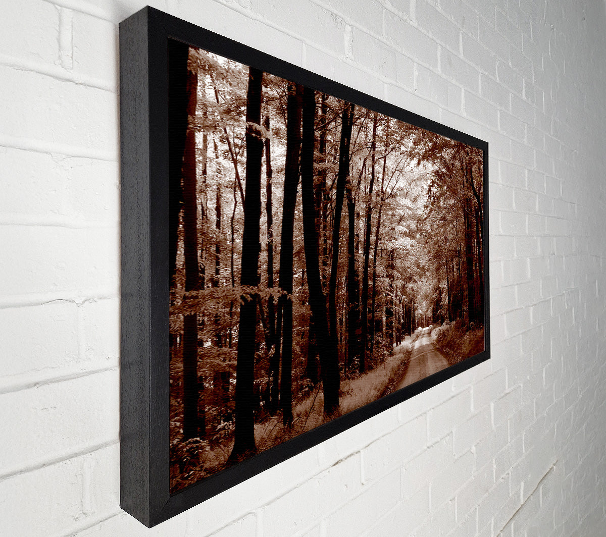The Brown Forest Road Canvas Wall Art