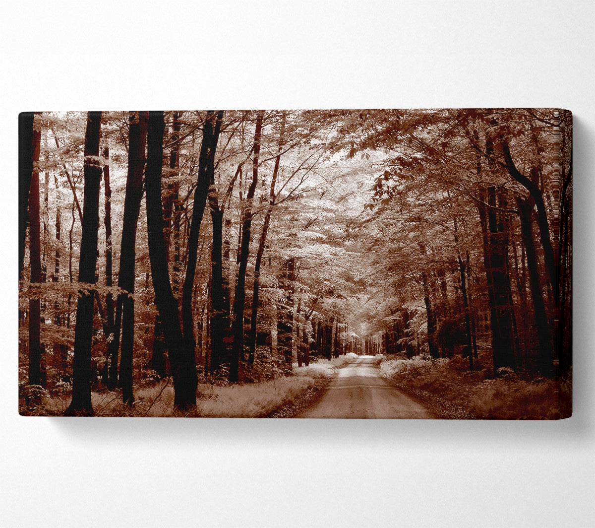 The Brown Forest Road Canvas Wall Art