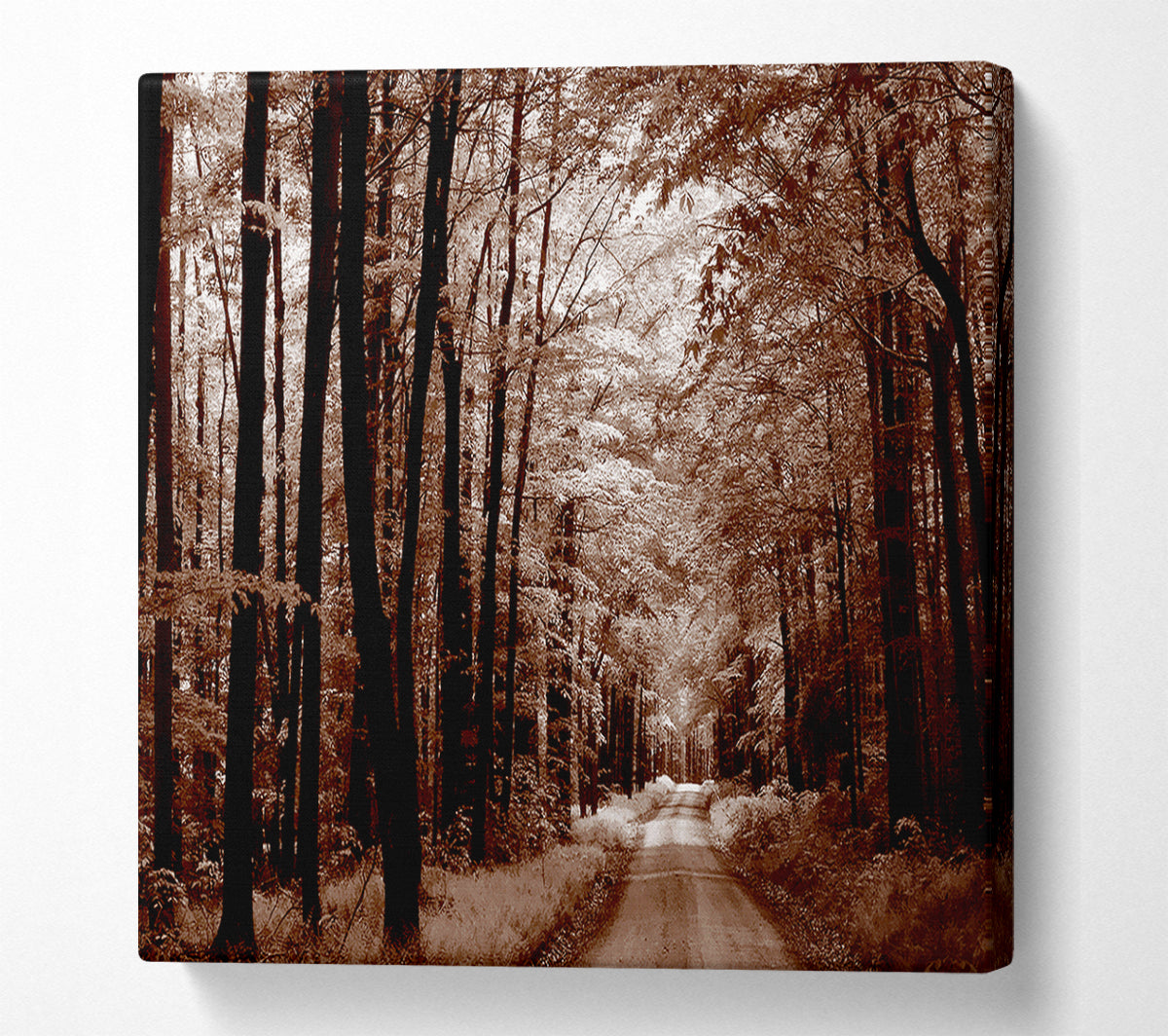 The Brown Forest Road Canvas Wall Art
