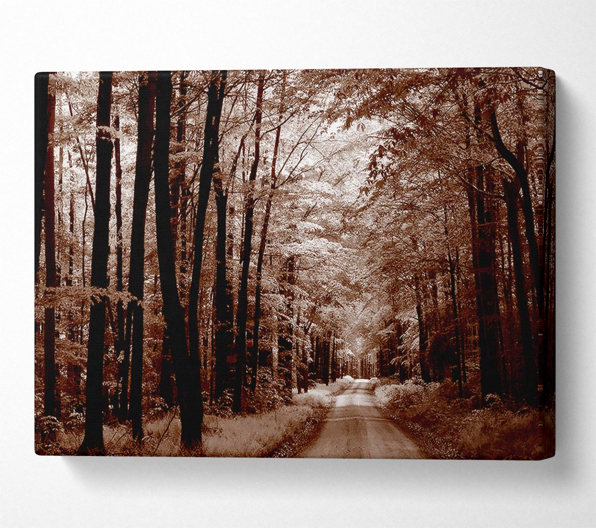 The Brown Forest Road Canvas Wall Art