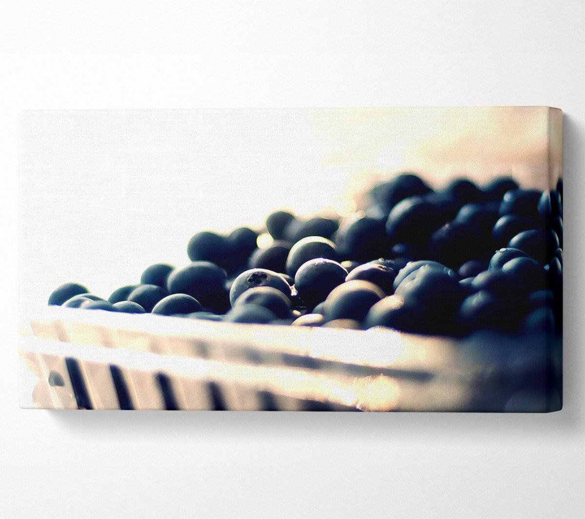 Wild Berries Canvas Art