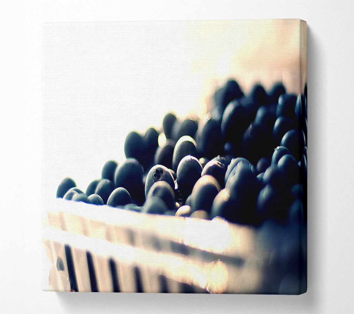 Wild Berries Canvas Art
