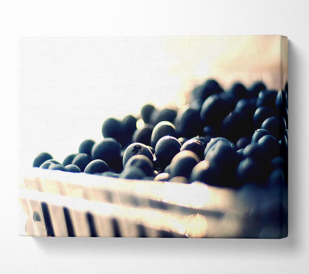 Wild Berries Canvas Art